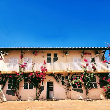 Economique Hotel Ilha Solteira Bagian luar foto